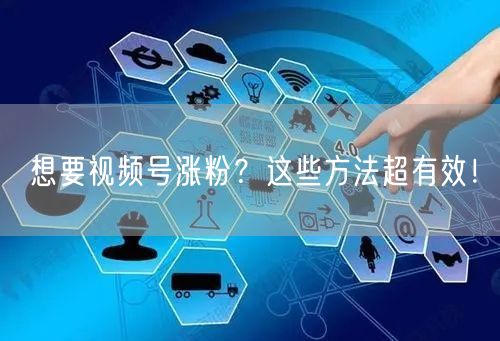 想要视频号涨粉？这些方法超有效！